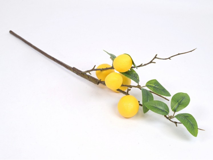 Branch with lemons