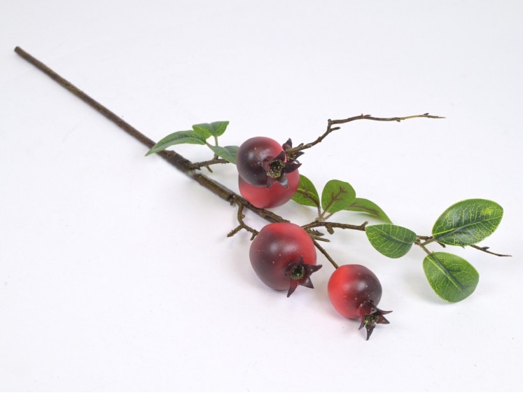 Branch with pomegranates