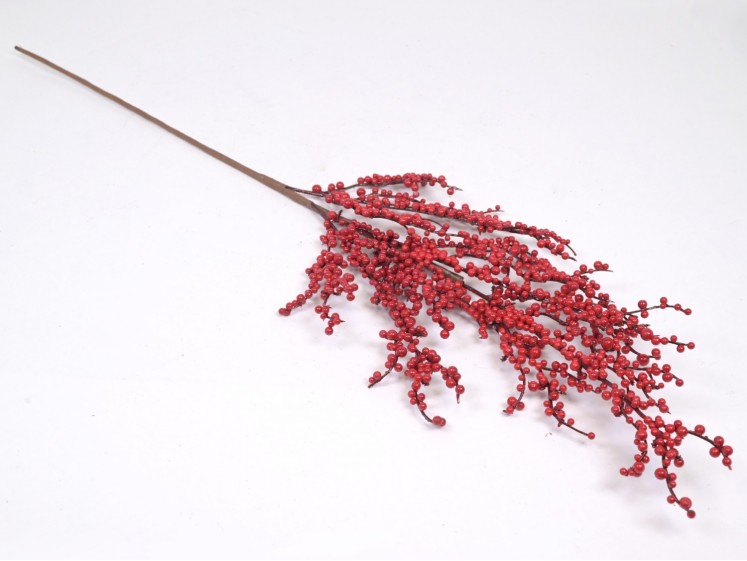 Red berries branch