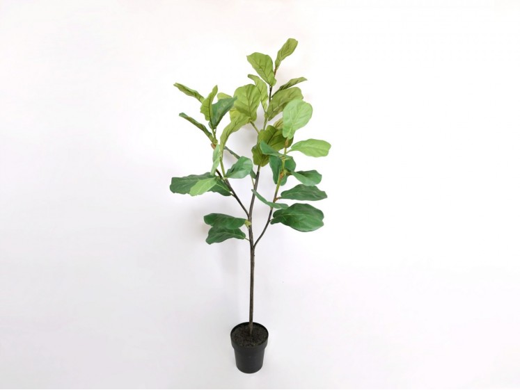 Artificial ficus - Lirata