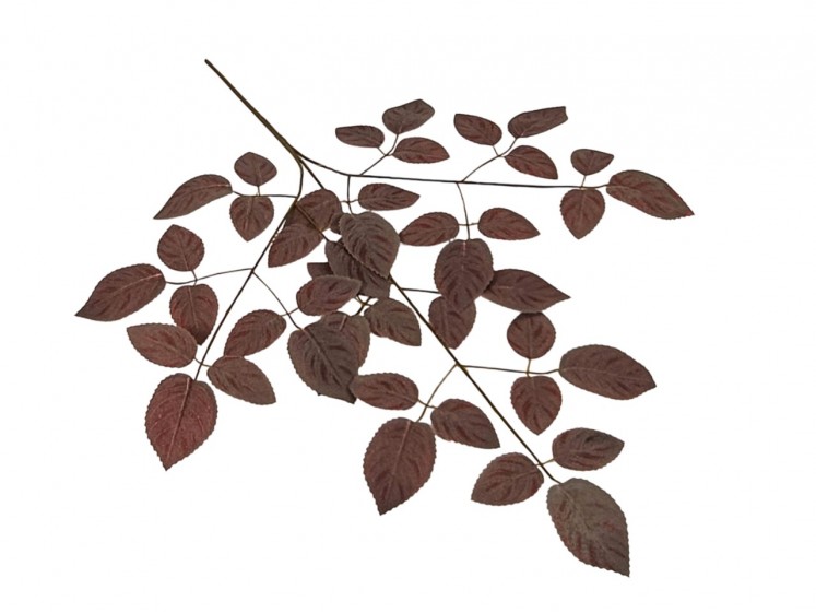 Artificial leaves
