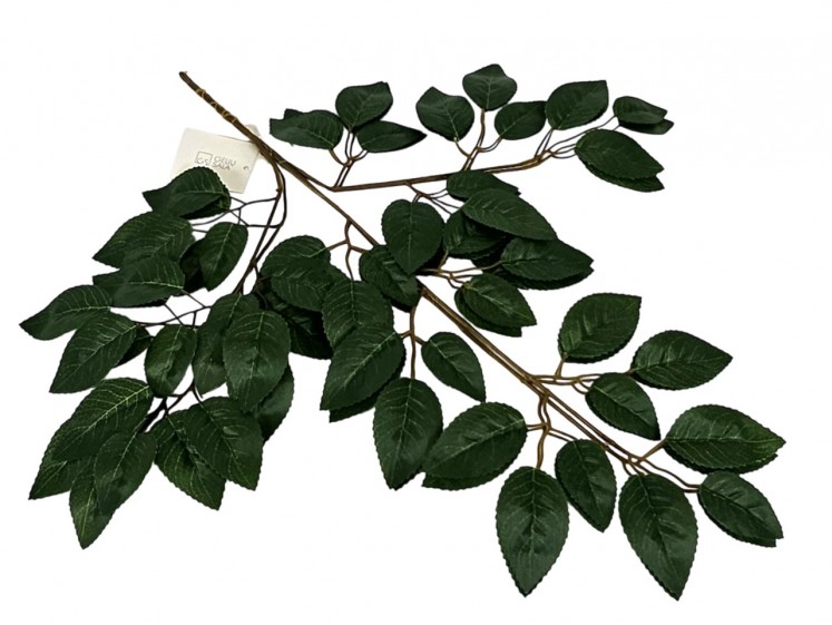 Artificial leaves