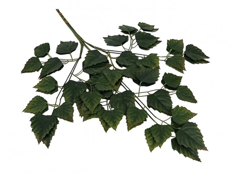 Artificial leaves