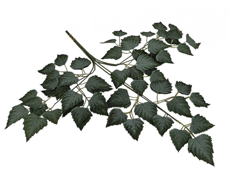 Artificial leaves