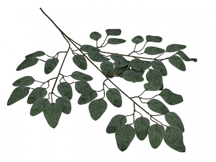 Artificial leaves