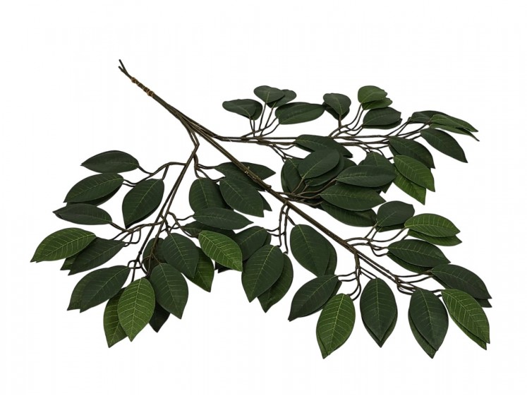 Artificial leaves