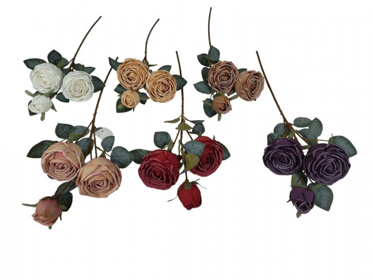 Rose Branch