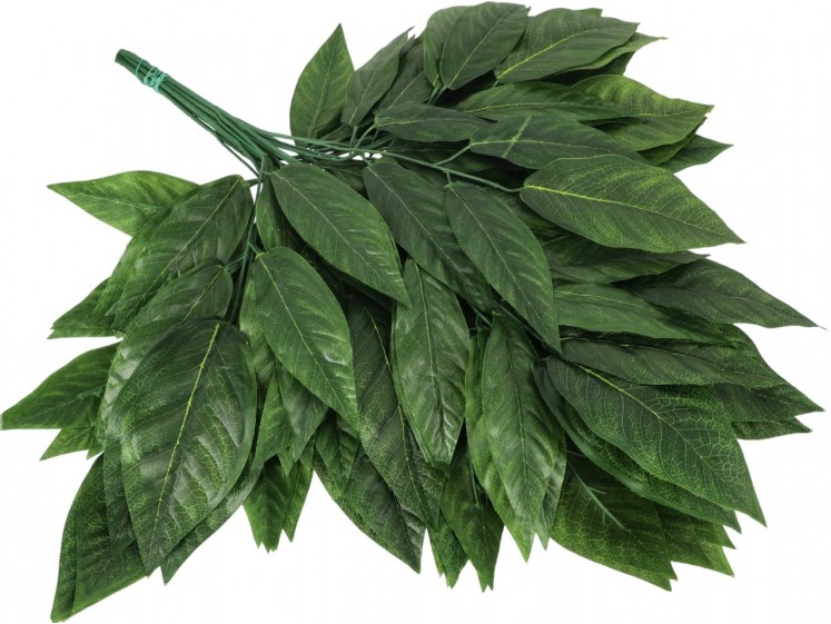 Artificial leaves