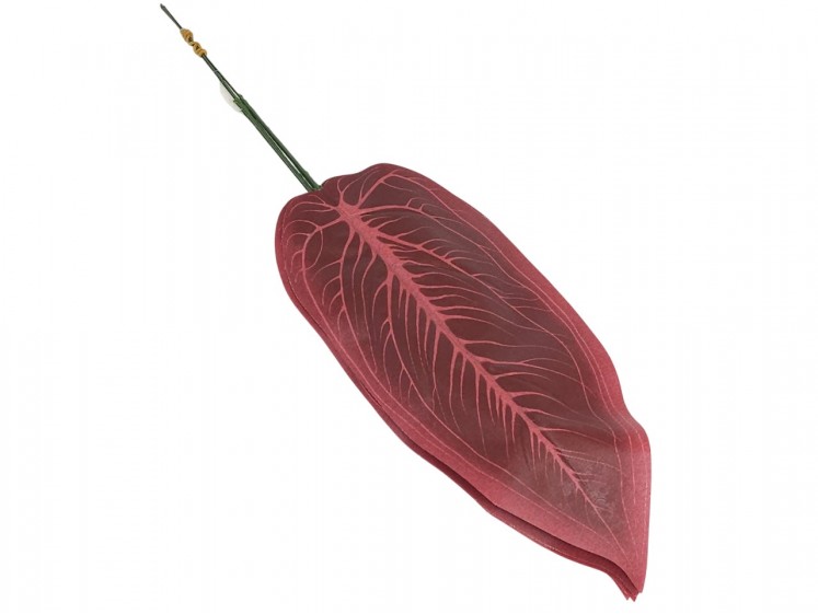Artificial leaves of Allocasia