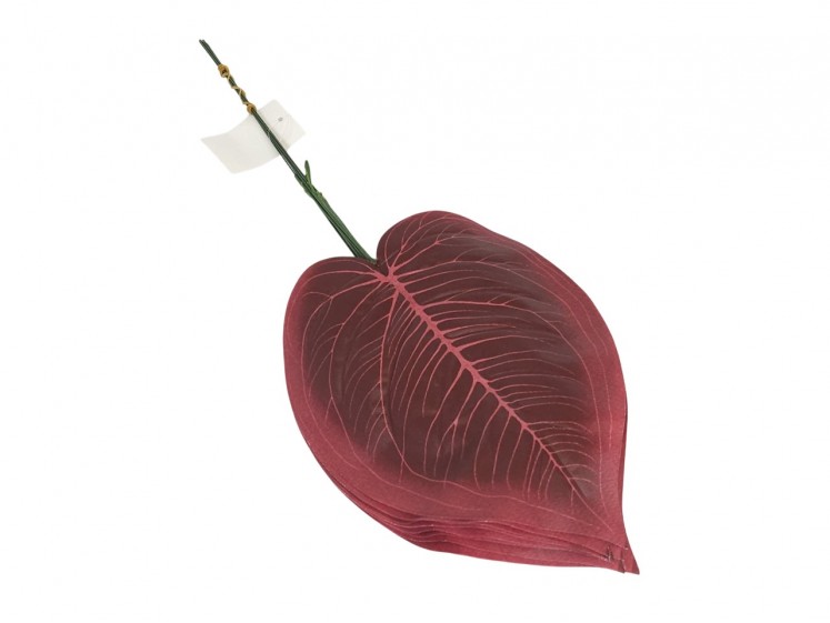 Artificial leaves
