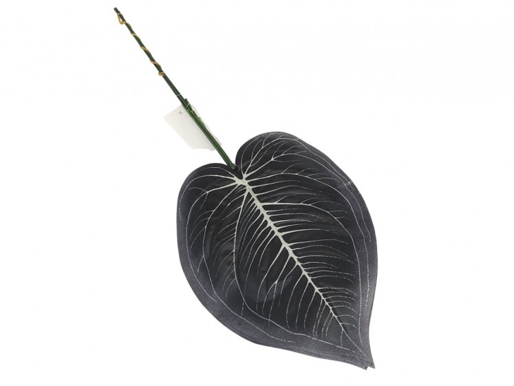Artificial leaves