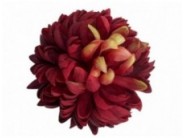 Wild Crocs Bush Bouquets, Spring, Summer - Flowers|Floristic supplier Wild Crocs Bush Bouquets, Spring, Summer - Flowers|Floristic supplier