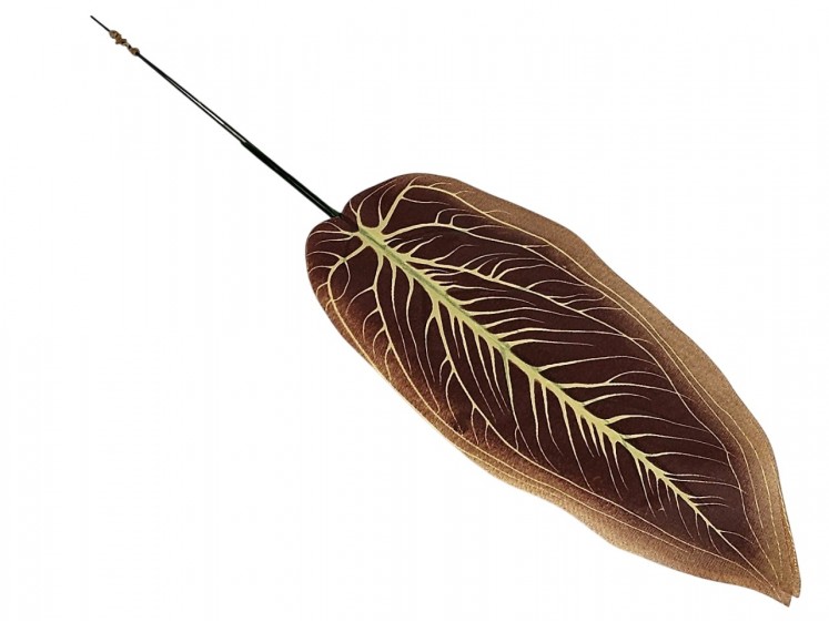 Artificial leaves of Allocasia