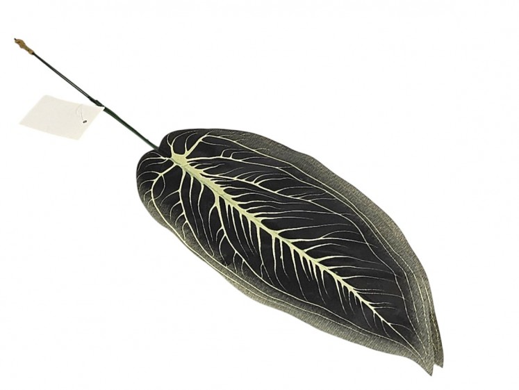 Artificial leaves of Allocasia