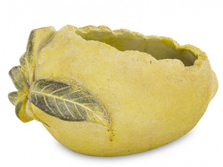 Cementinis vazonas