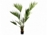 Palmė Palmė