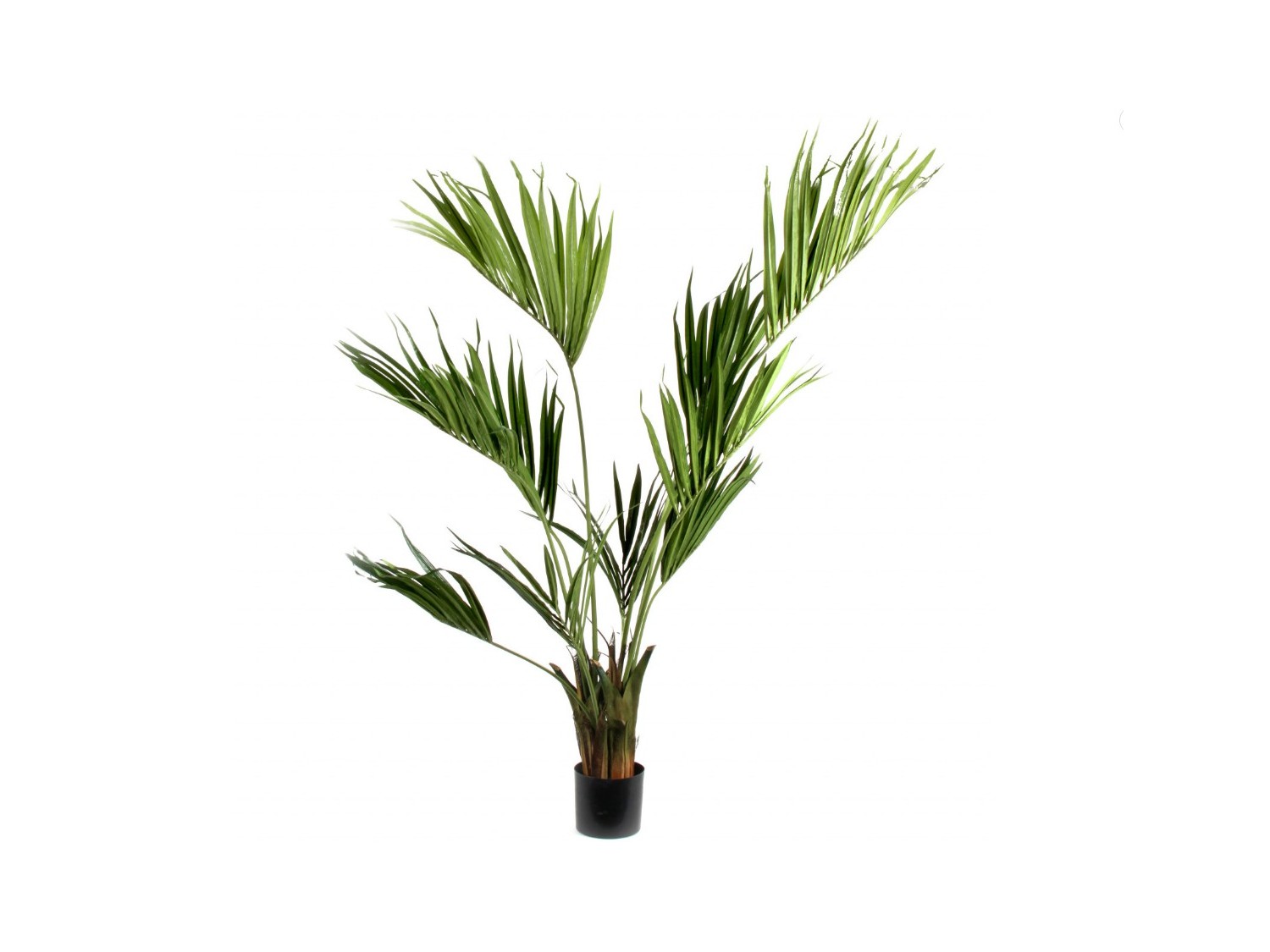 Palmė