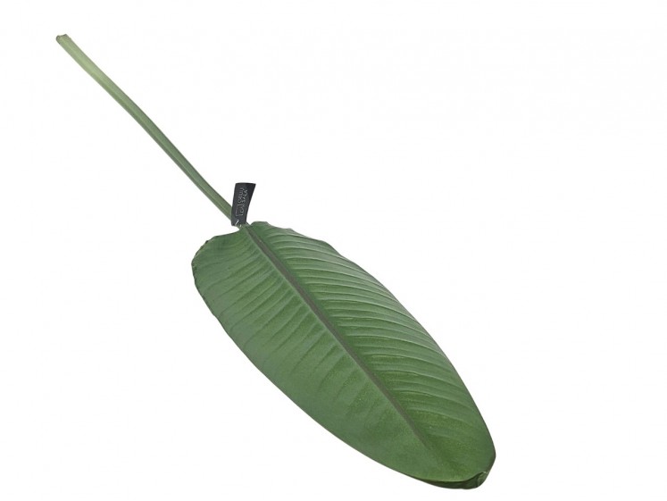 Banana leaf
