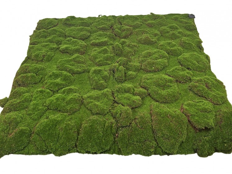 Moss carpets