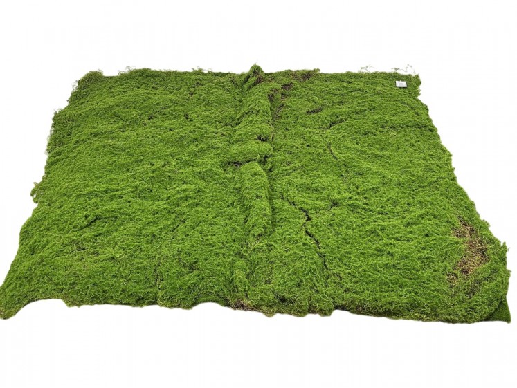 Moss carpets
