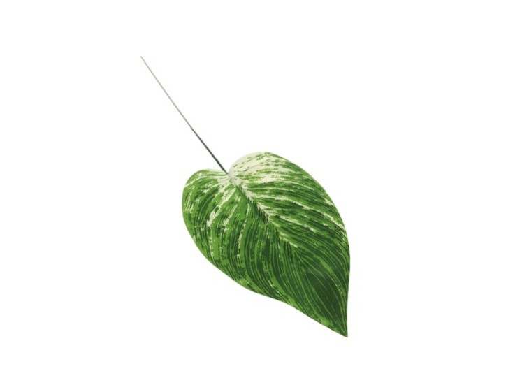 Artificial leaves