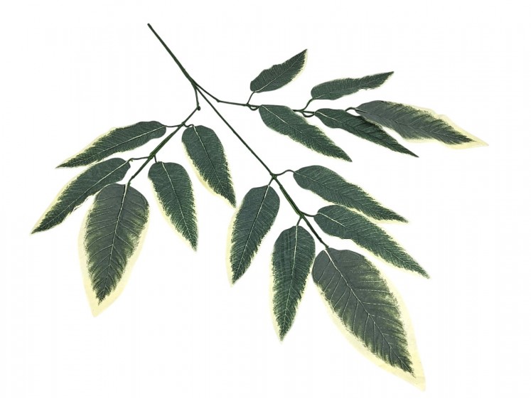 Artificial leaves