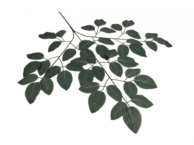 Artificial leaves