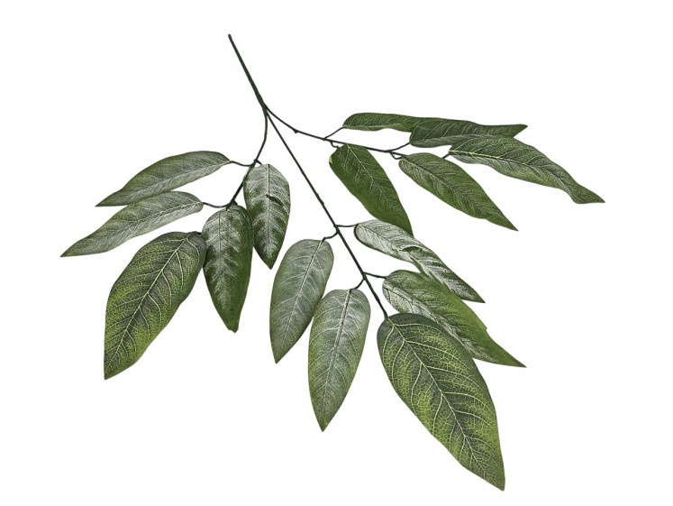 Artificial leaves