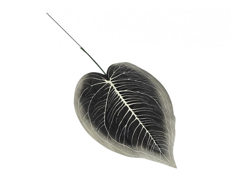 Artificial leaves