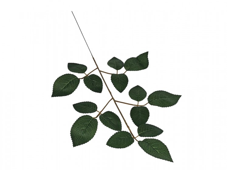 Artificial leaves