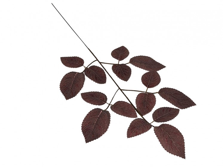 Artificial leaves