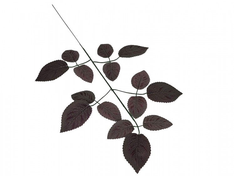 Artificial leaves
