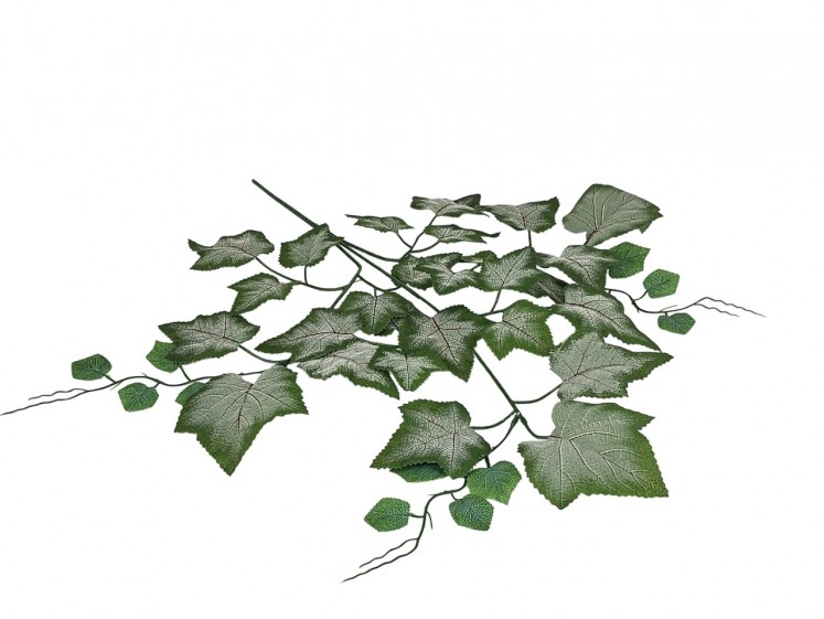 Artificial leaves