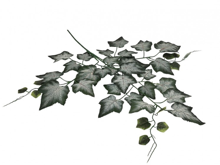 Artificial leaves