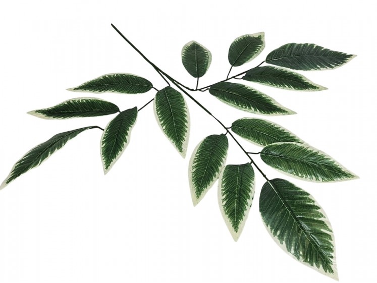 Artificial leaves