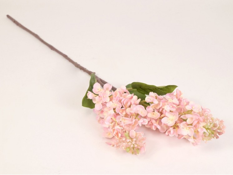 Syringa branch (real touch)