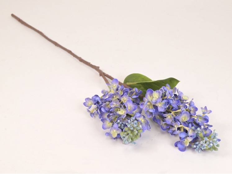 Syringa branch (real touch)