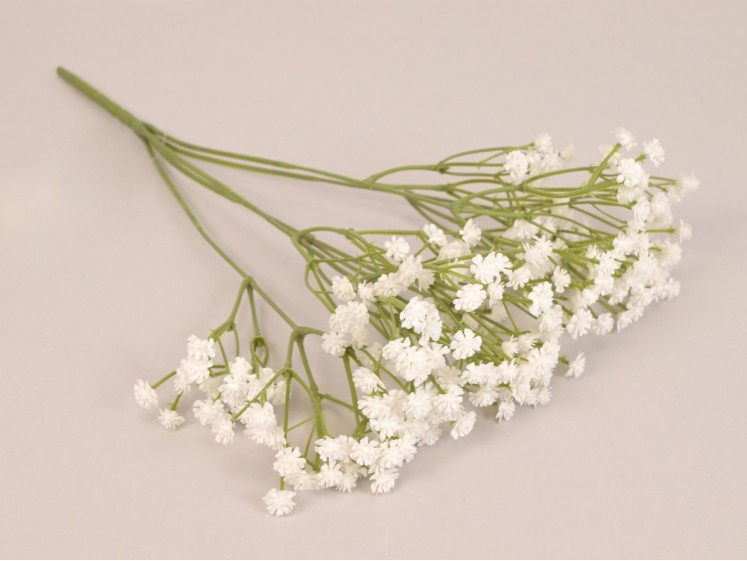 Gipsofilė