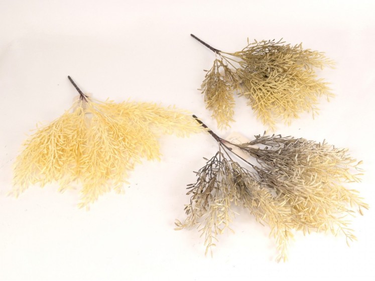 Looks Dried - Bush of...
