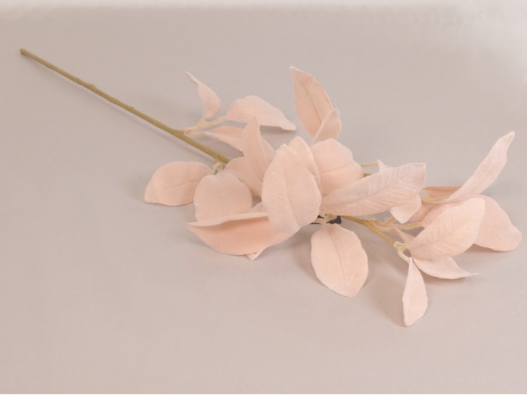 Magnolia Foliage