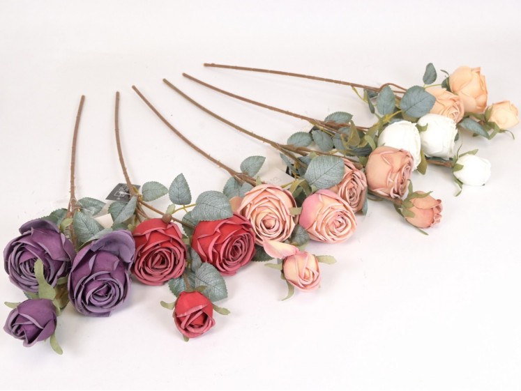 Rose Branch