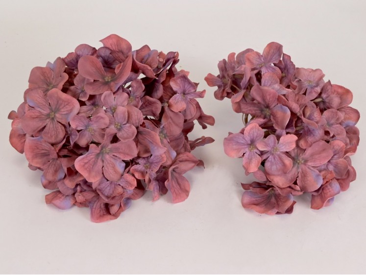 Hydrangea head