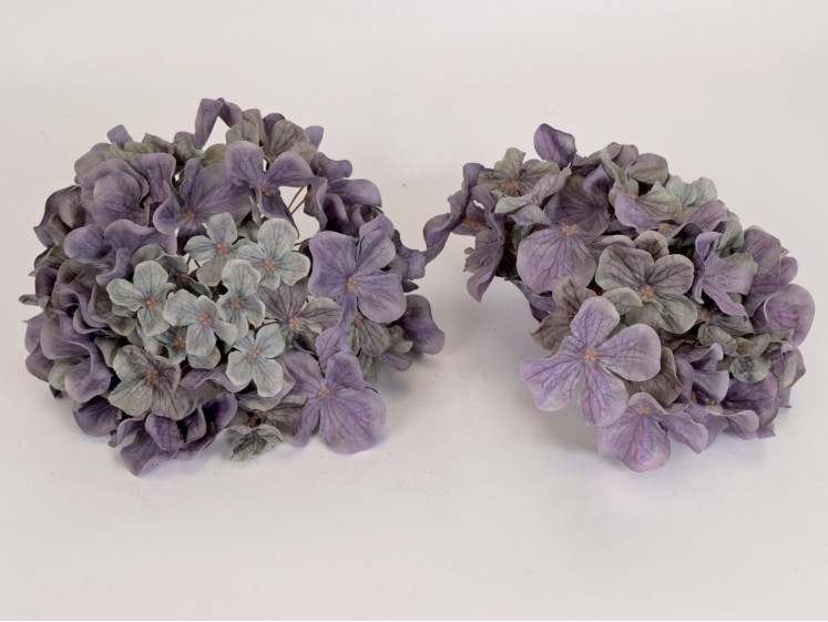 Hydrangea head