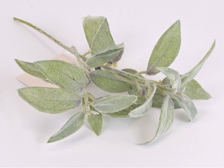 Sage spray