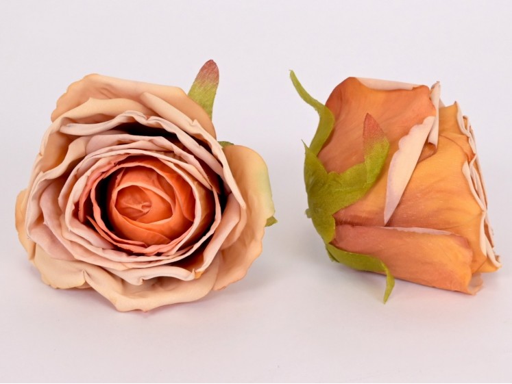 Rose flower head