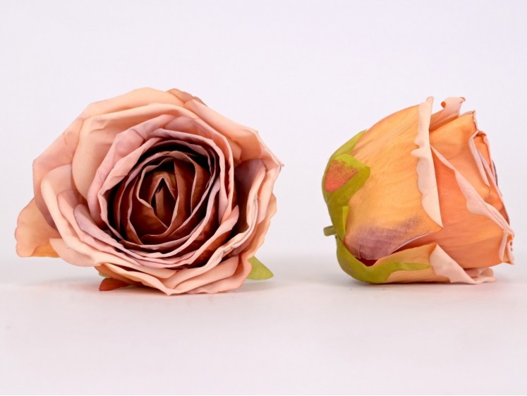 Rose flower head
