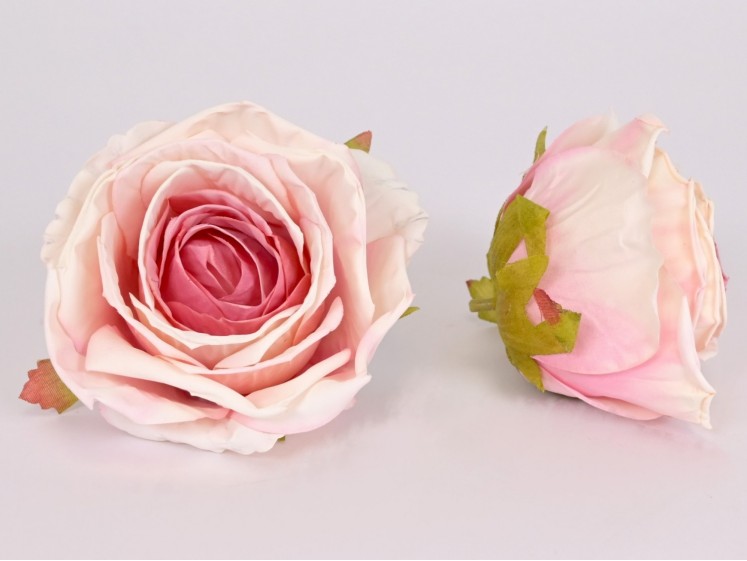 Rose flower head