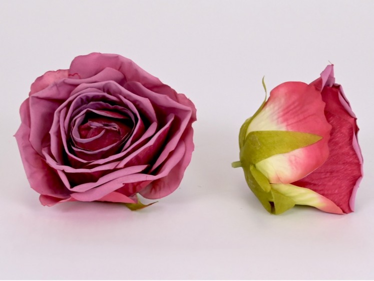 Rose flower head