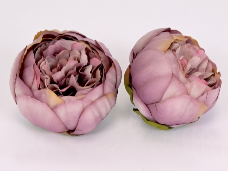 Peony flower head