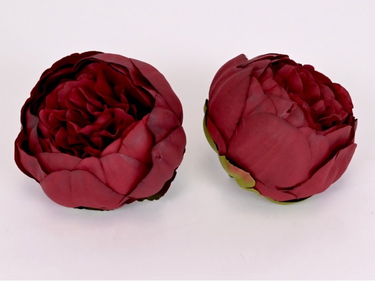 Peony flower head